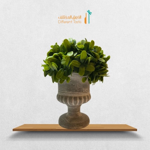 ورد تنسيق اخضر مركن