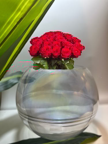 فازة شفاف مدور كبير