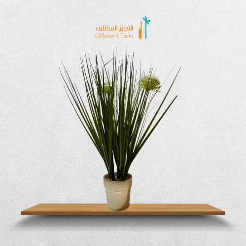 شجر اخضر صغير بمركن