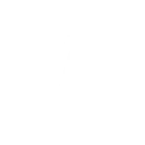 LIGUE 1