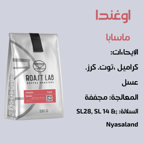 اوغندا ماسابا (مجففه)