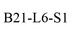 B21-L6-S1