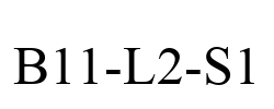 B11-L2-S1