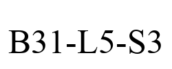 B31-L5-S3