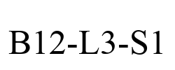 B12-L3-S1