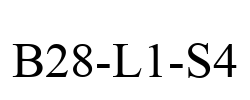 B28-L1-S4