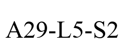 A29-L5-S2