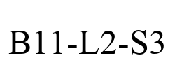 B11-L2-S3