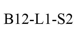 B12-L1-S2