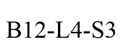 B12-L4-S3