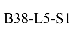 B38-L5-S1