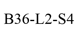 B36-L2-S4