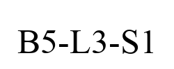 B5-L3-S1
