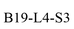 B19-L4-S3