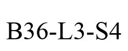 B36-L3-S4