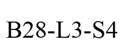 B28-L3-S4