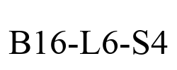 B16-L6-S4