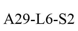 A29-L6-S2