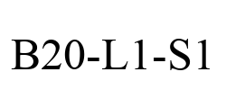 B20-L1-S1