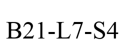B21-L7-S4