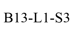 B13-L1-S3