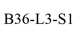 B36-L3-S1