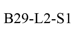 B29-L2-S1