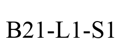 B21-L1-S1