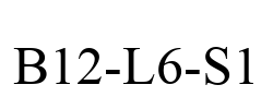 B12-L6-S1