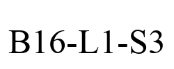 B16-L1-S3