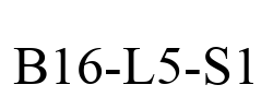 B16-L5-S1