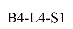 B4-L4-S1