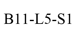 B11-L5-S1