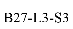 B27-L3-S3