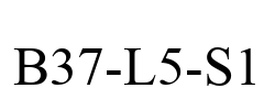 B37-L5-S1
