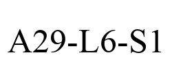 A29-L6-S1
