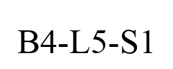 B4-L5-S1