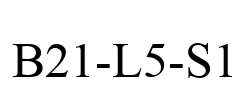 B21-L5-S1