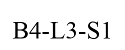 B4-L3-S1