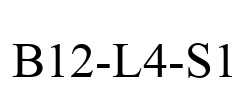 B12-L4-S1