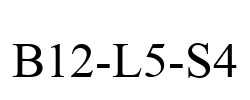 B12-L5-S4