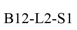 B12-L2-S1