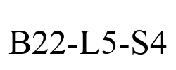 B22-L5-S4