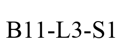 B11-L3-S1