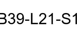 B39-L21-S1