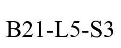 B21-L5-S3