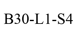 B30-L1-S4