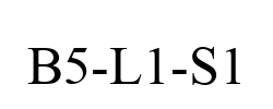 B5-L1-S1