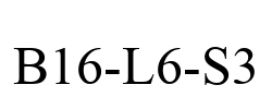 B16-L6-S3