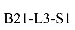 B21-L3-S1